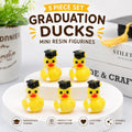 Mini resin ducks – 5pc graduation duck set, tiny graduate ducks with caps & diplomas, graduation party favors, class of 2026 decorations