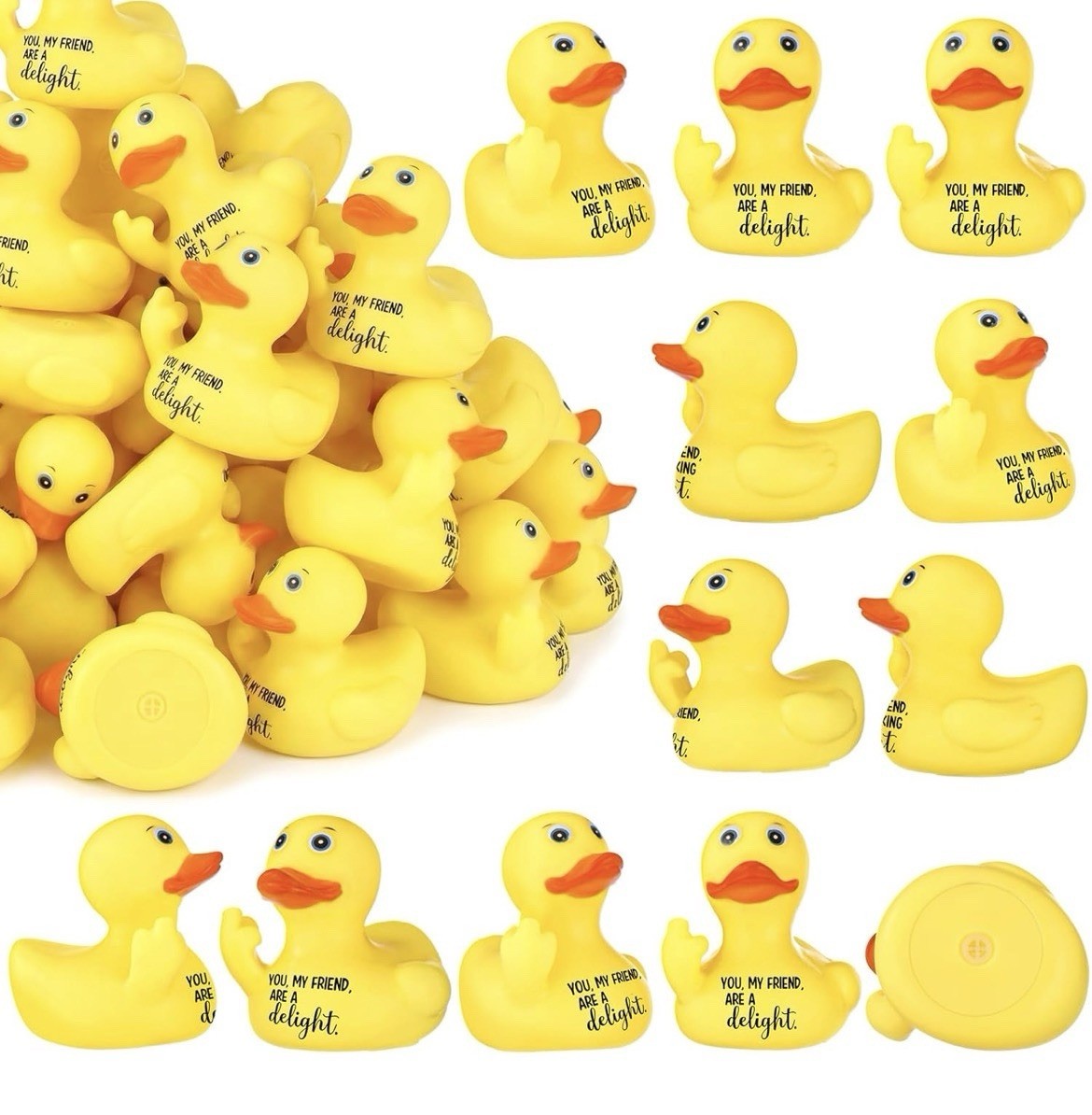 Set of 2 Middle Finger Rubber Ducks 2” | “You Are a F*cking Delight” Ducks