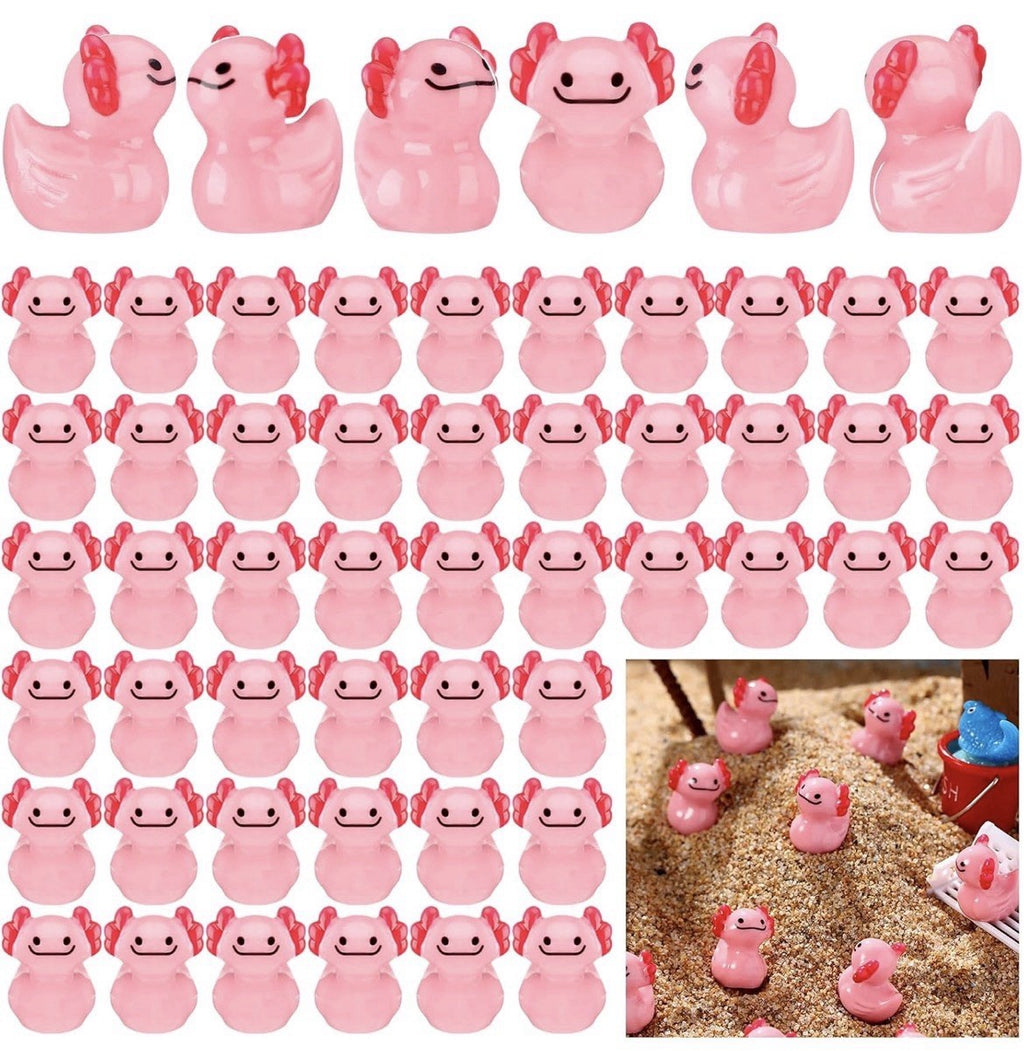 Mini Axolotl Duck Set 5pc Cute Resin Ducks Cake & Garden Decor