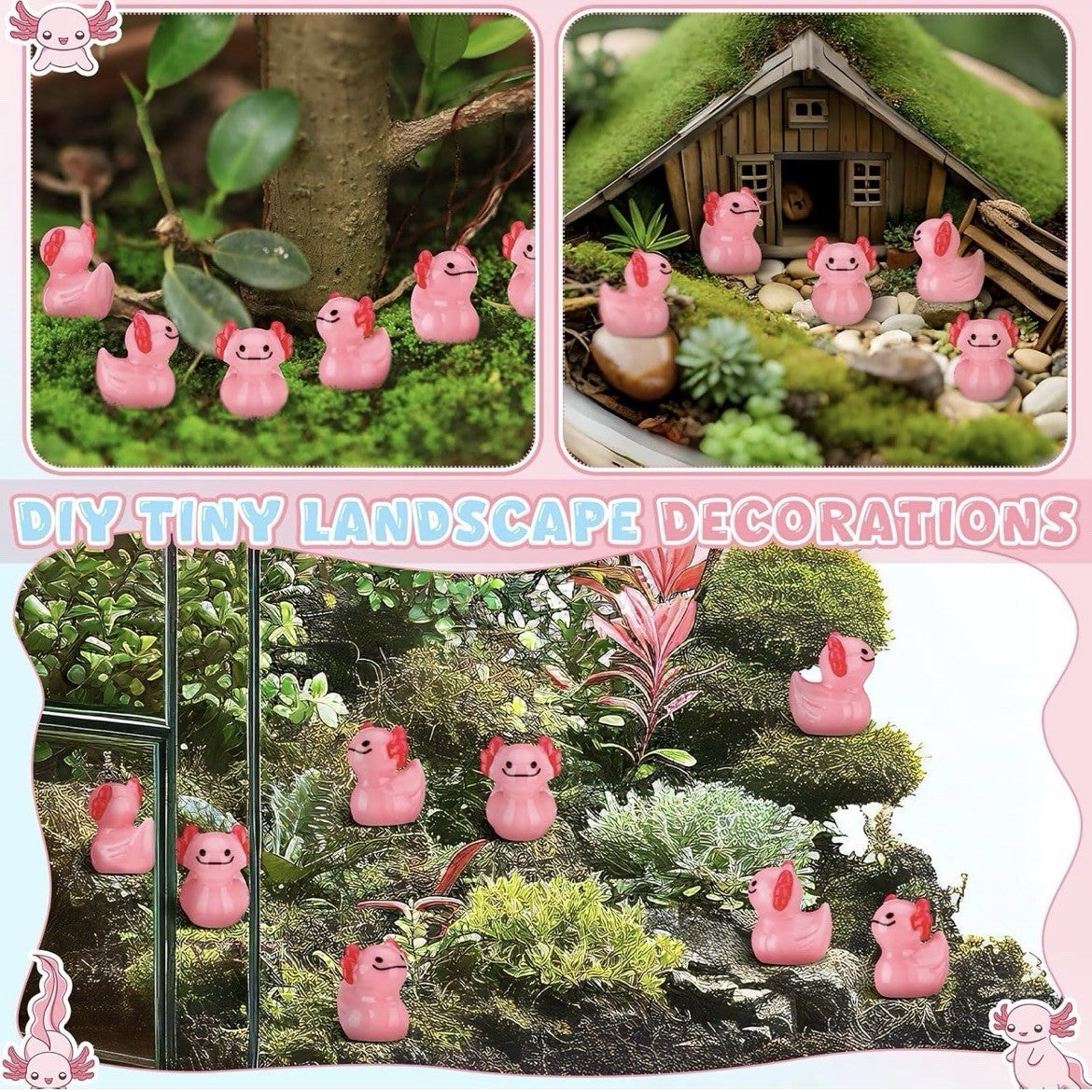 Mini Axolotl Duck Set 5pc Cute Resin Ducks Cake & Garden Decor