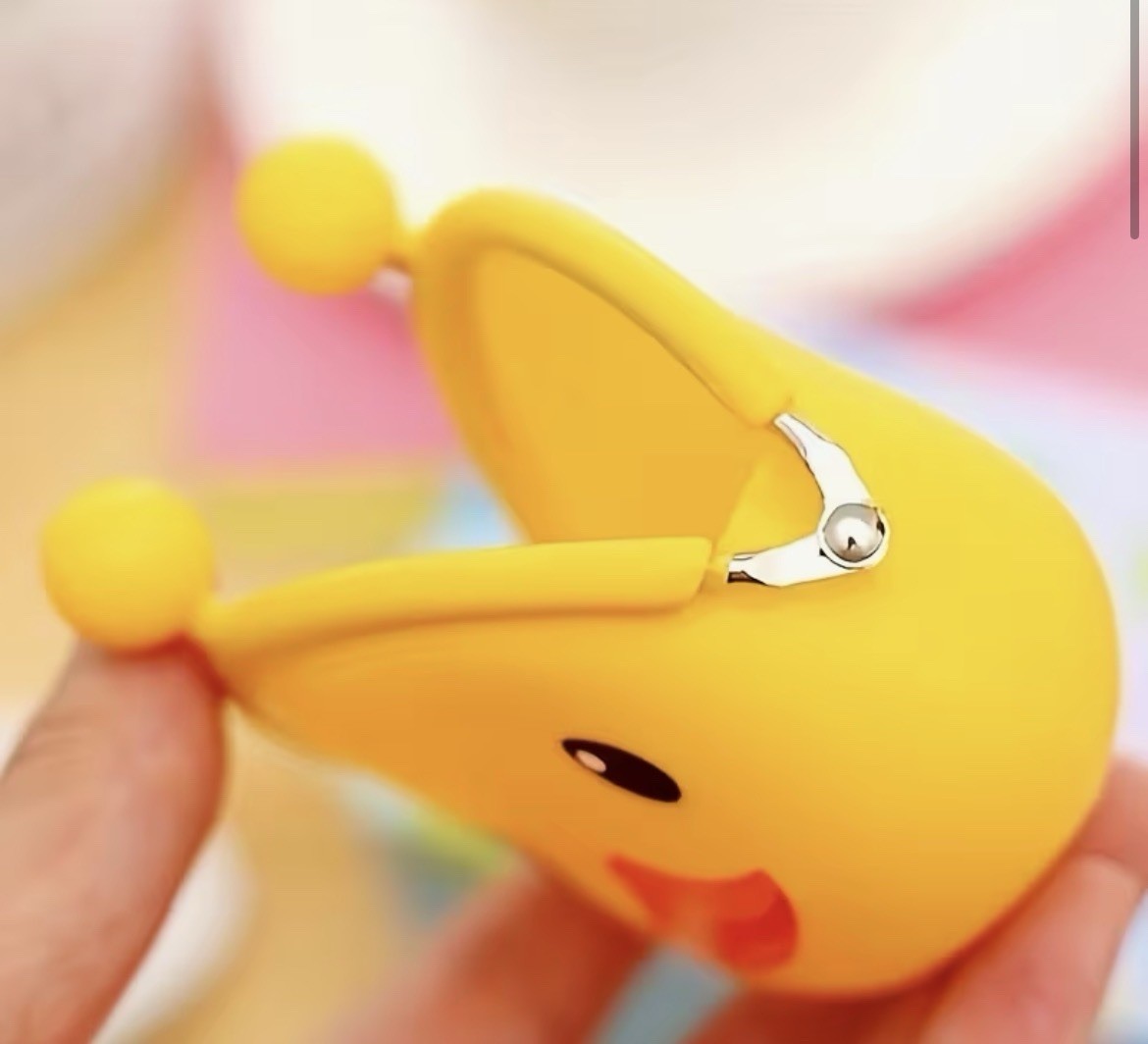 Cute duck coin purse | kawaii duck