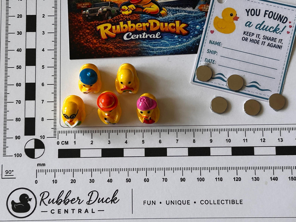Set of 5, School Time and Teachers Themed Mini Resin Ducks, Magnetic or Non-Magnetic, Optional Personalized Duck Hiding Tags