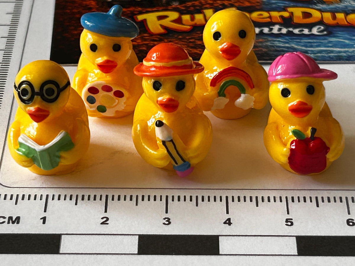 Set of 5, School Time and Teachers Themed Mini Resin Ducks, Magnetic or Non-Magnetic, Optional Personalized Duck Hiding Tags