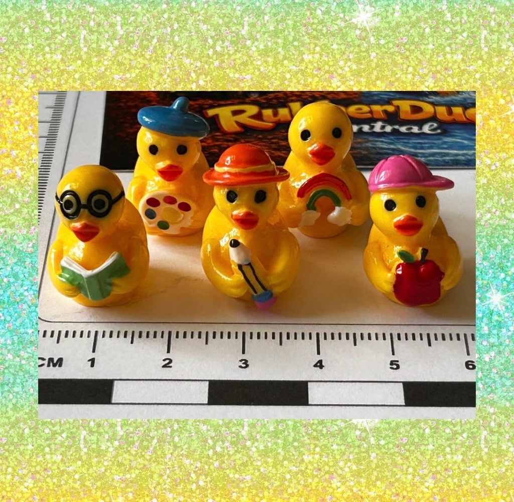 Set of 5, School Time and Teachers Themed Mini Resin Ducks, Magnetic or Non-Magnetic, Optional Personalized Duck Hiding Tags