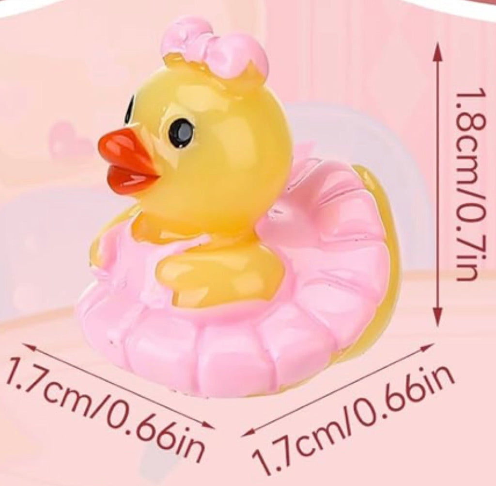 Set of 5, Pink Ballerina Themed Mini Resin Ducks, Magnetic or Non-Magnetic, Optional Personalized Duck Hiding Tags