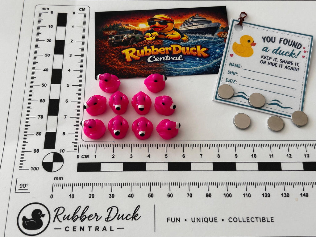 Set of 10, Flamingo Themed Mini Resin Ducks, Magnetic or Non-Magnetic, Optional Personalized Duck Hiding Tags