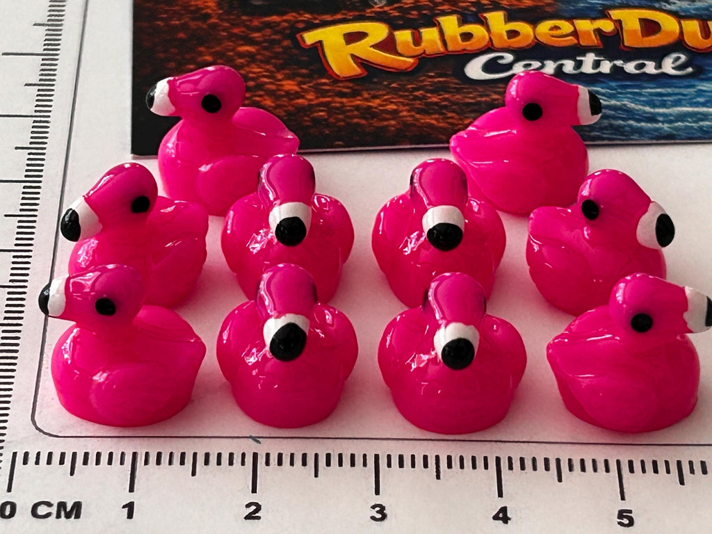 Set of 10, Flamingo Themed Mini Resin Ducks, Magnetic or Non-Magnetic, Optional Personalized Duck Hiding Tags
