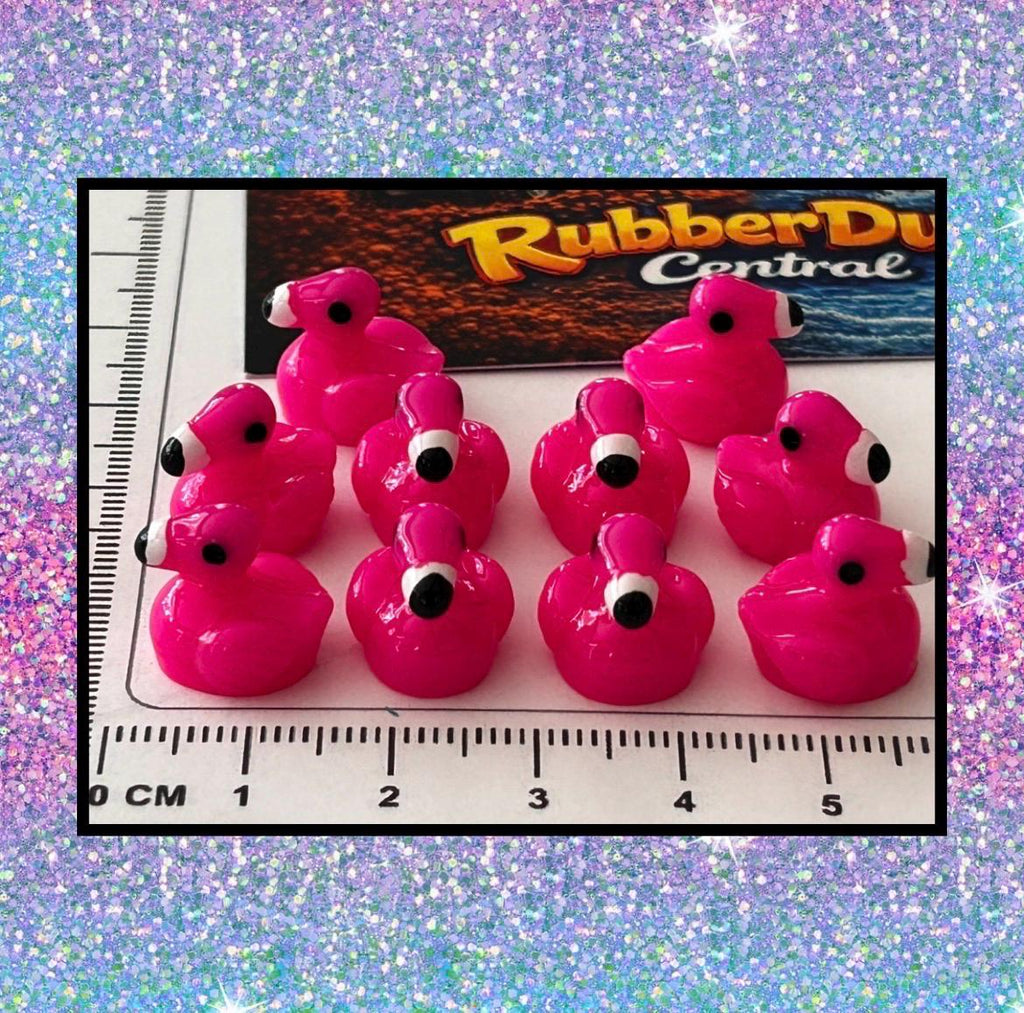 Set of 10, Flamingo Themed Mini Resin Ducks, Magnetic or Non-Magnetic, Optional Personalized Duck Hiding Tags
