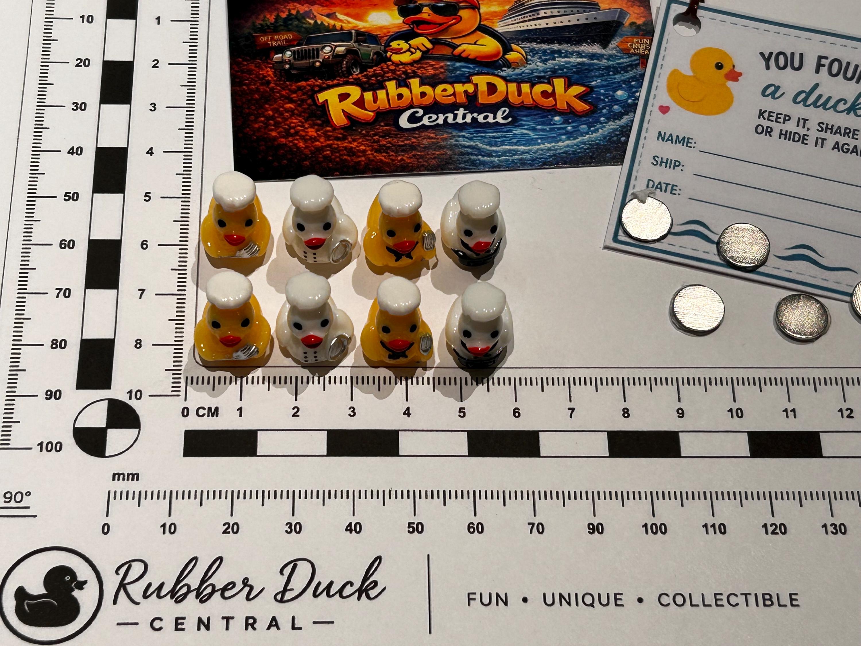 Set of 8, Chef Themed Mini Resin Ducks, Magnetic or Non-Magnetic, Optional Personalized Duck Hiding Tags