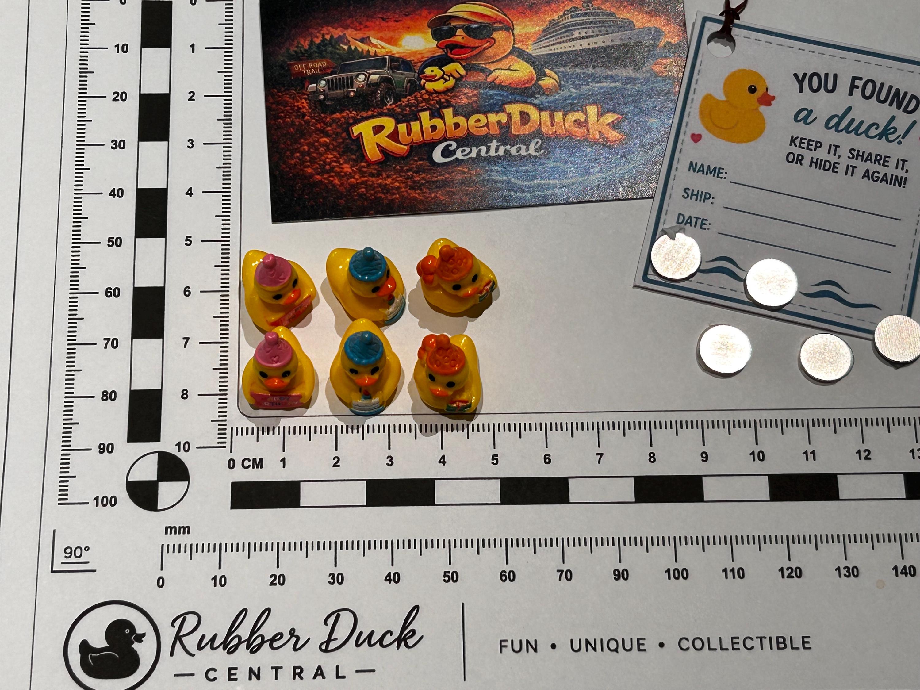 Set of 6, Happy Birthday Themed Mini Resin Ducks, Magnetic or Non-Magnetic, Optional Personalized Duck Hiding Tags