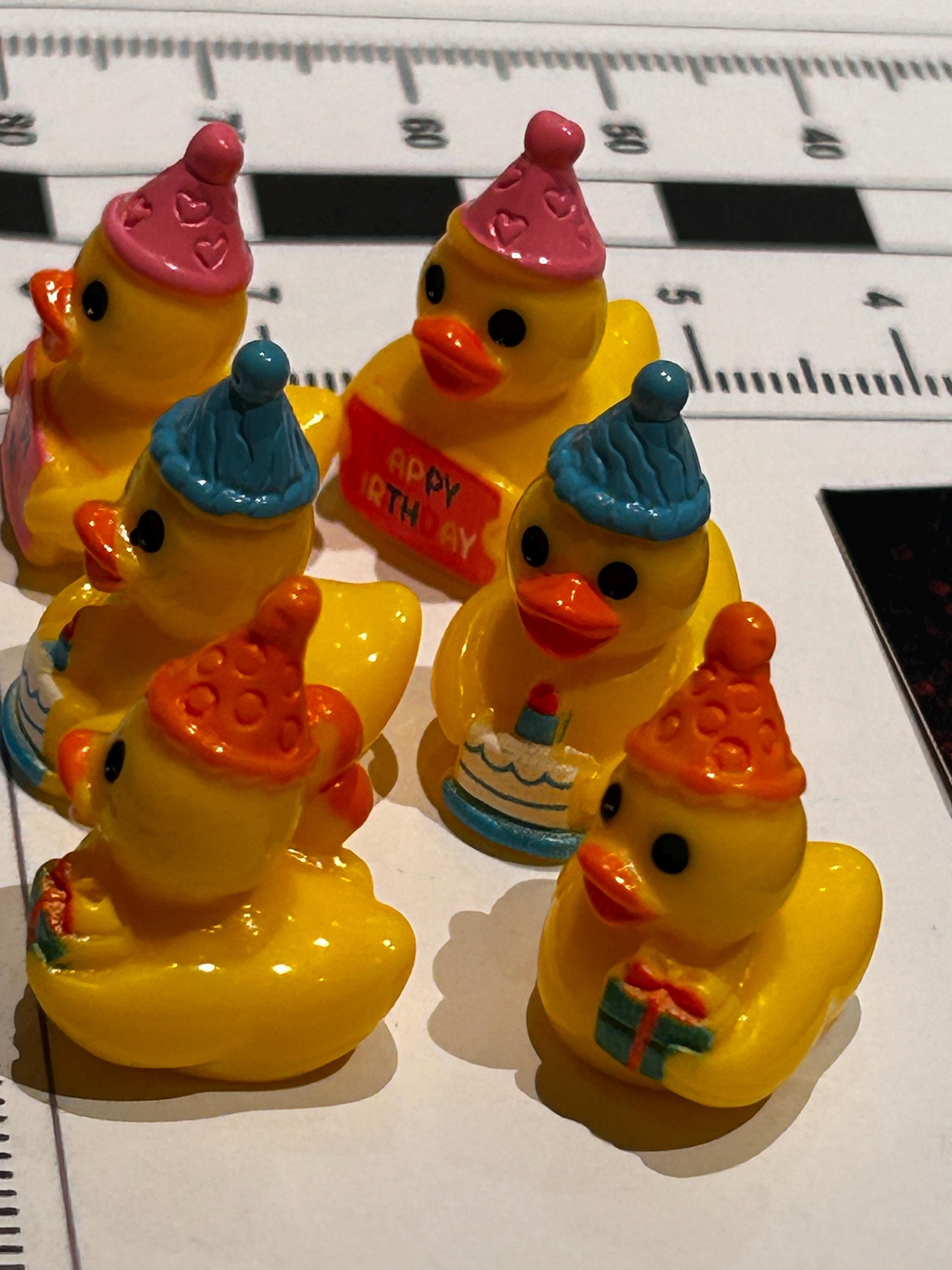 Set of 6, Happy Birthday Themed Mini Resin Ducks, Magnetic or Non-Magnetic, Optional Personalized Duck Hiding Tags