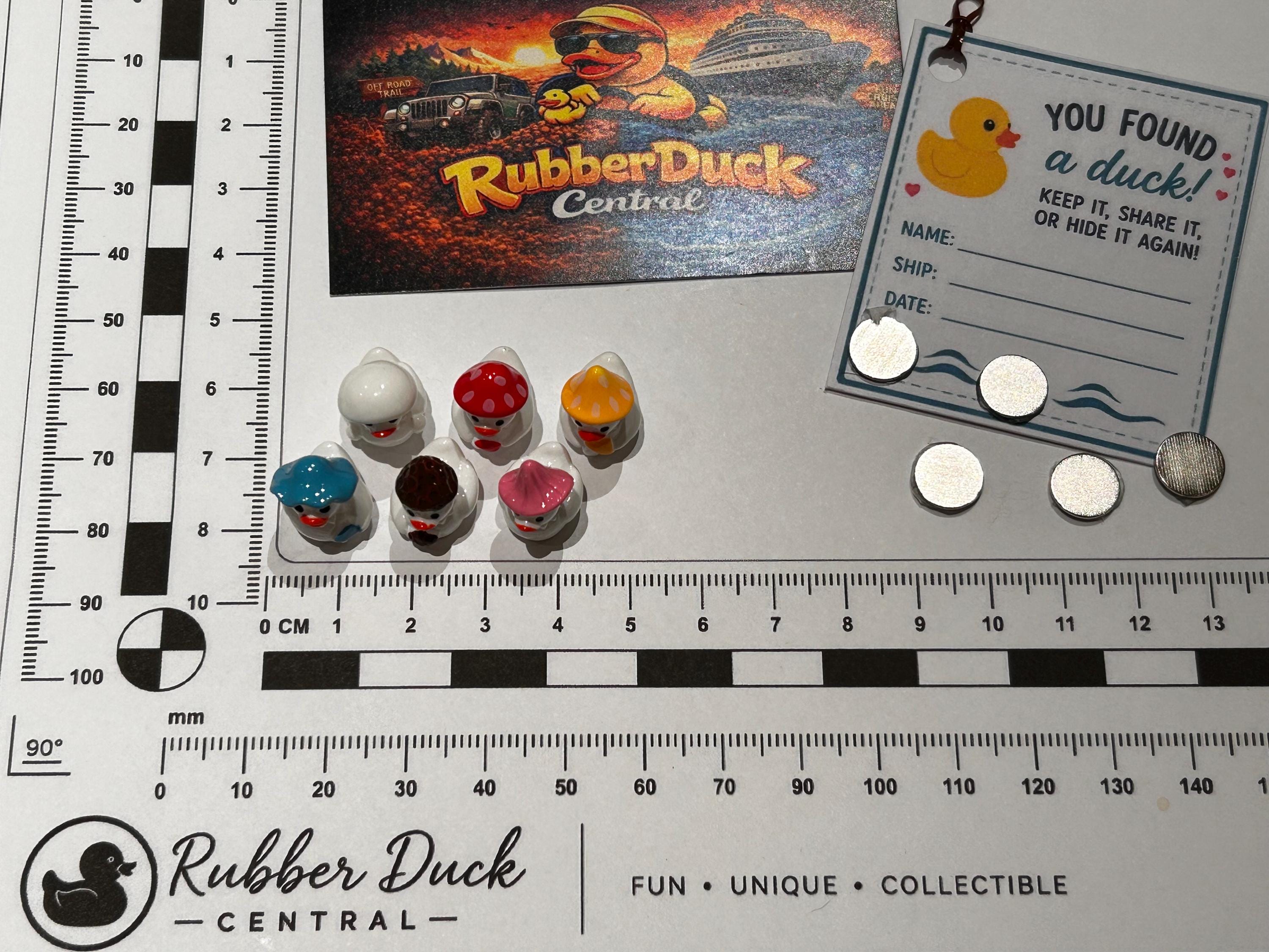 Set of 6, White Mushroom Themed Mini Resin Ducks, Magnetic or Non-Magnetic, Optional Personalized Duck Hiding Tags