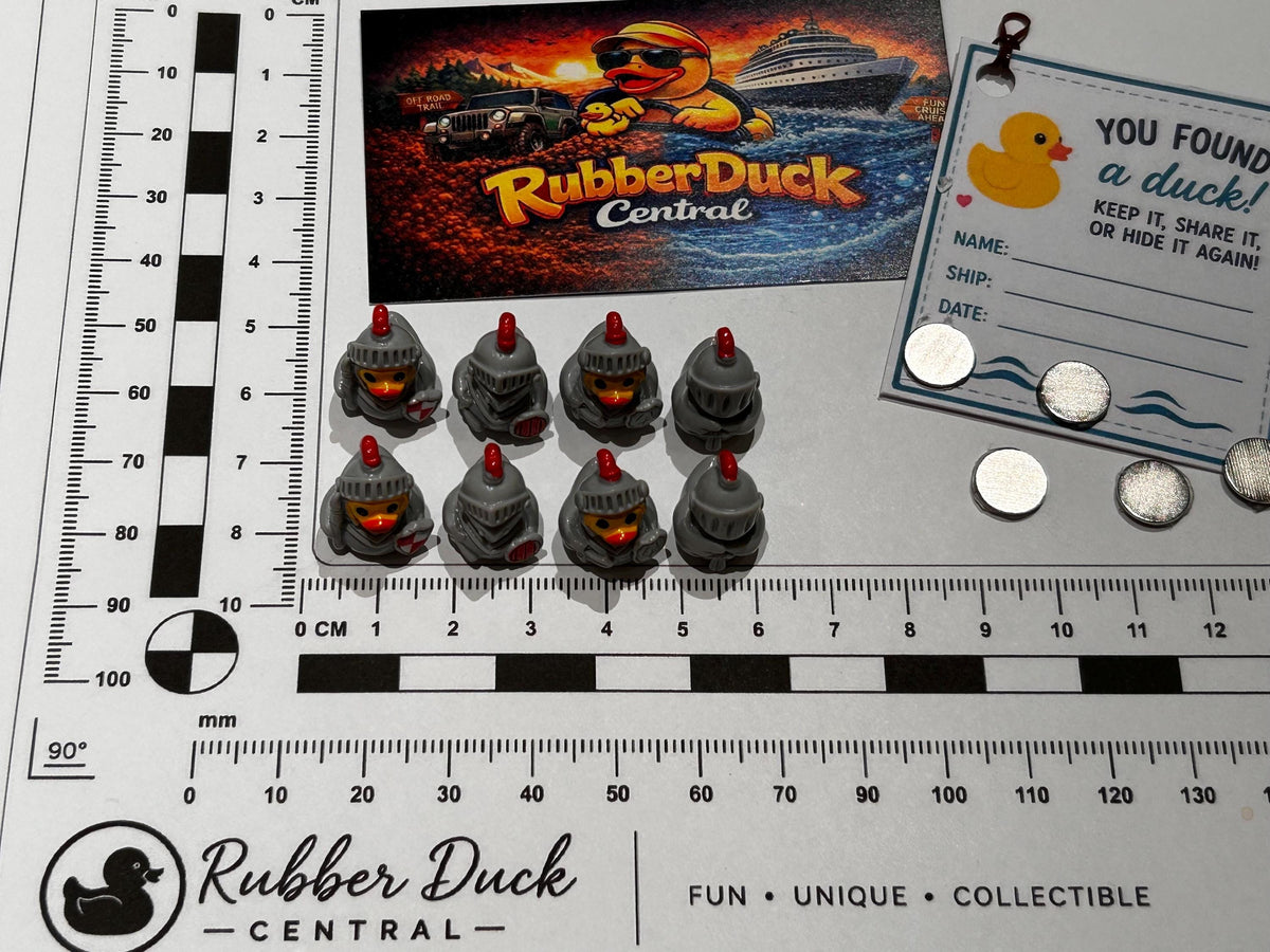 Set of 8, Medieval Knights Themed Mini Resin Ducks, Magnetic or Non-Magnetic, Optional Personalized Duck Hiding Tags