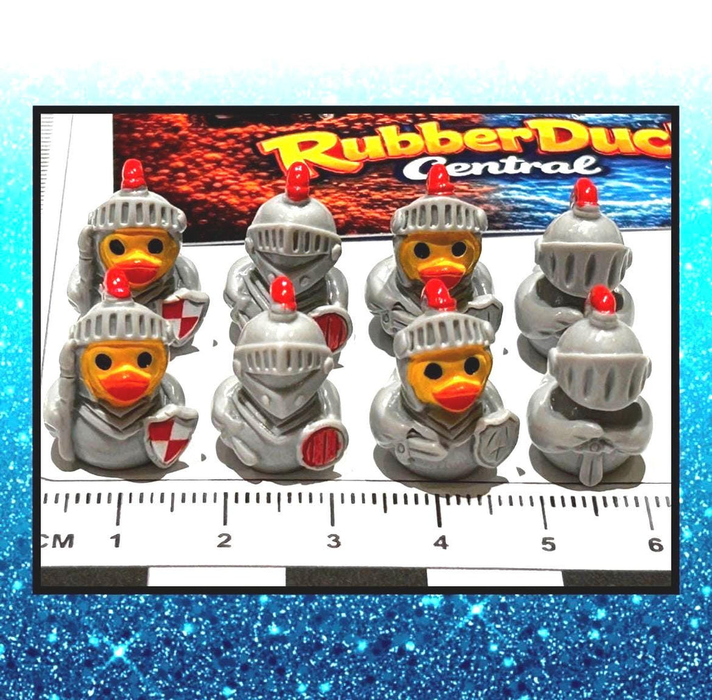 Set of 8, Medieval Knights Themed Mini Resin Ducks, Magnetic or Non-Magnetic, Optional Personalized Duck Hiding Tags