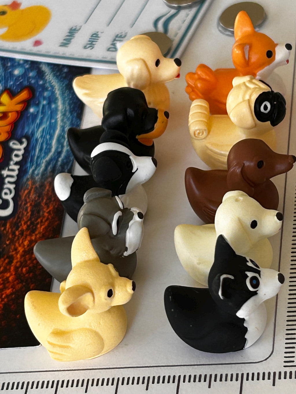 Set of 10, Dog Breed Themed Mini Resin Ducks, Magnetic or Non-Magnetic, Optional Personalized Duck Hiding Tags