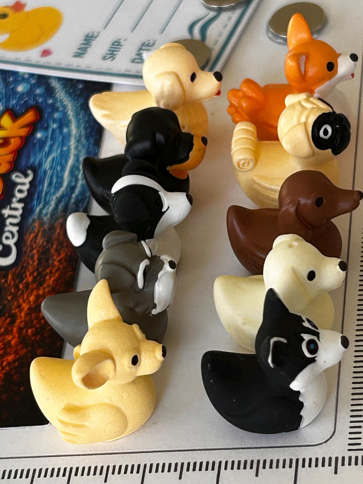 Set of 10, Dog Breed Themed Mini Resin Ducks, Magnetic or Non-Magnetic, Optional Personalized Duck Hiding Tags