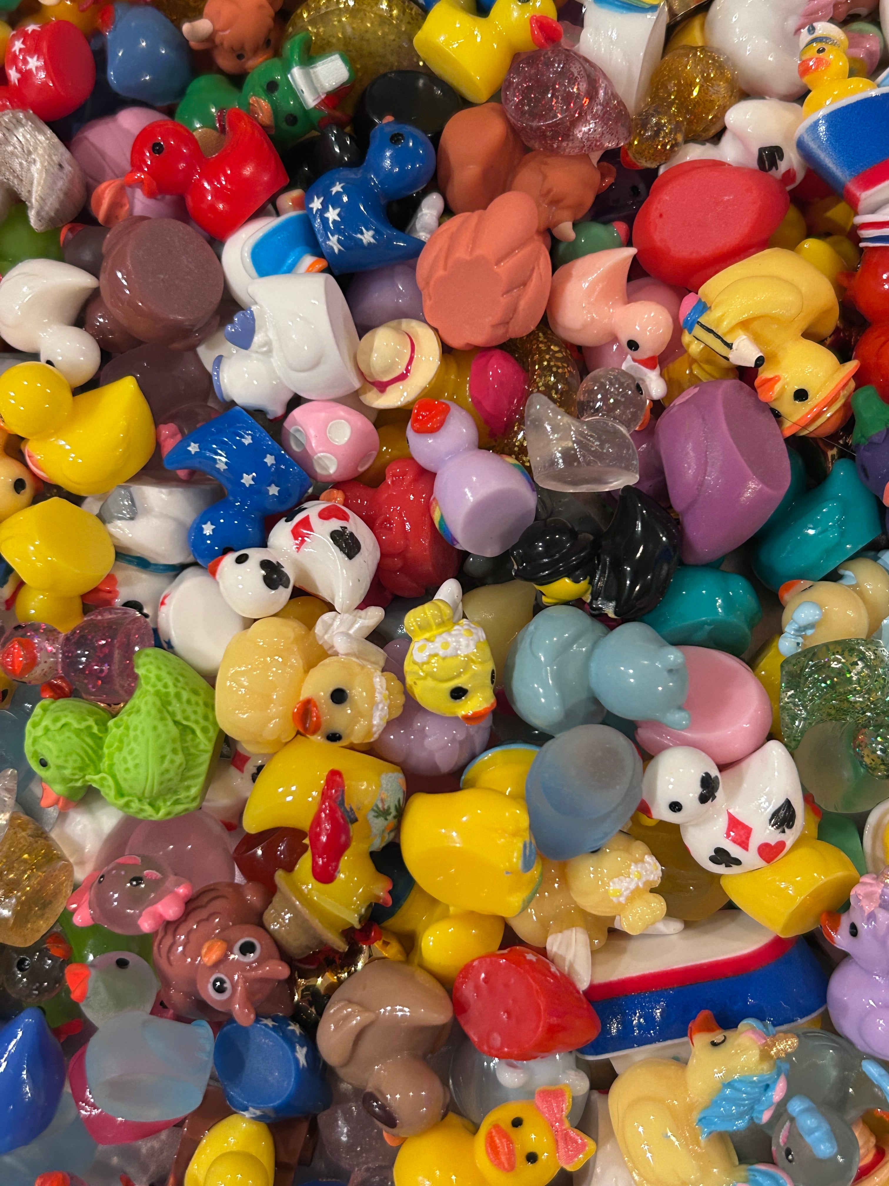 Mini Resin Duck Mystery Scoop – No Duplicates, Magnet Option (XS-XL)