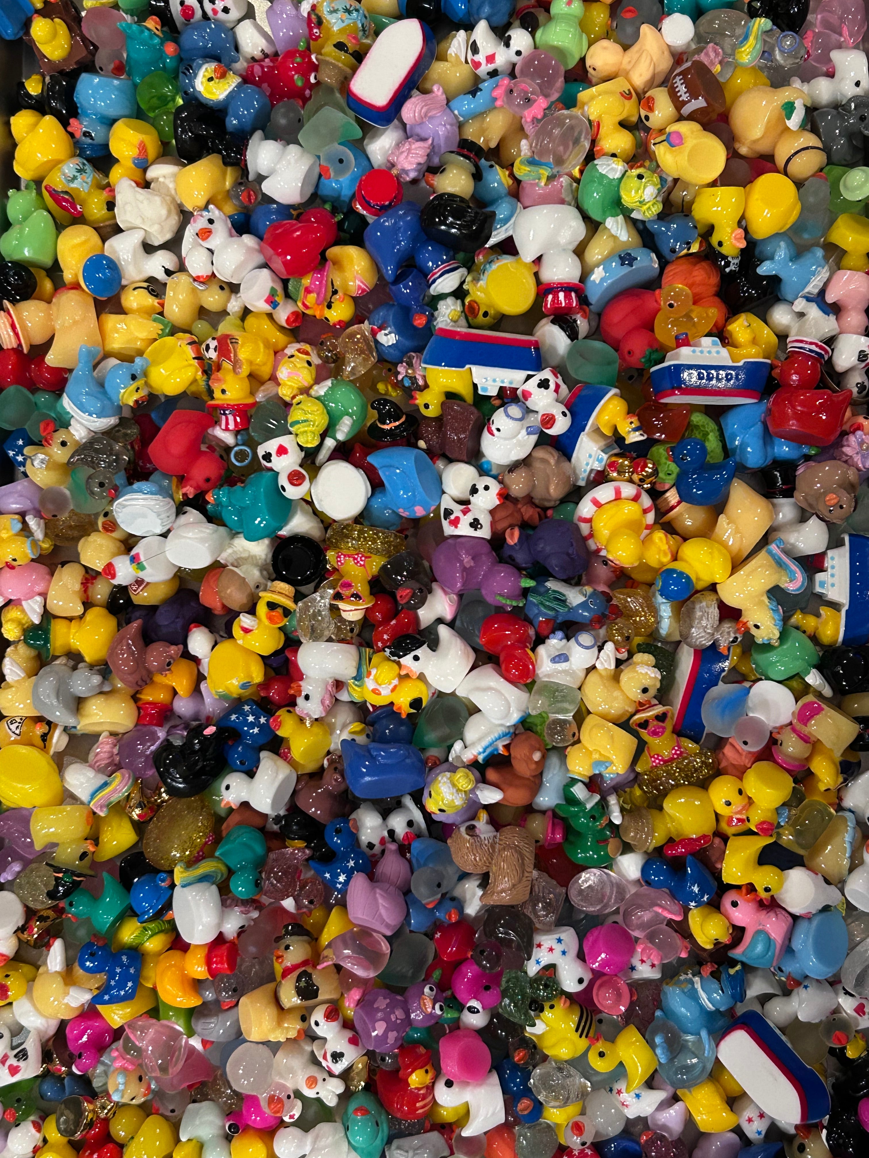 Mini Resin Duck Mystery Scoop – No Duplicates, Magnet Option (XS-XL)