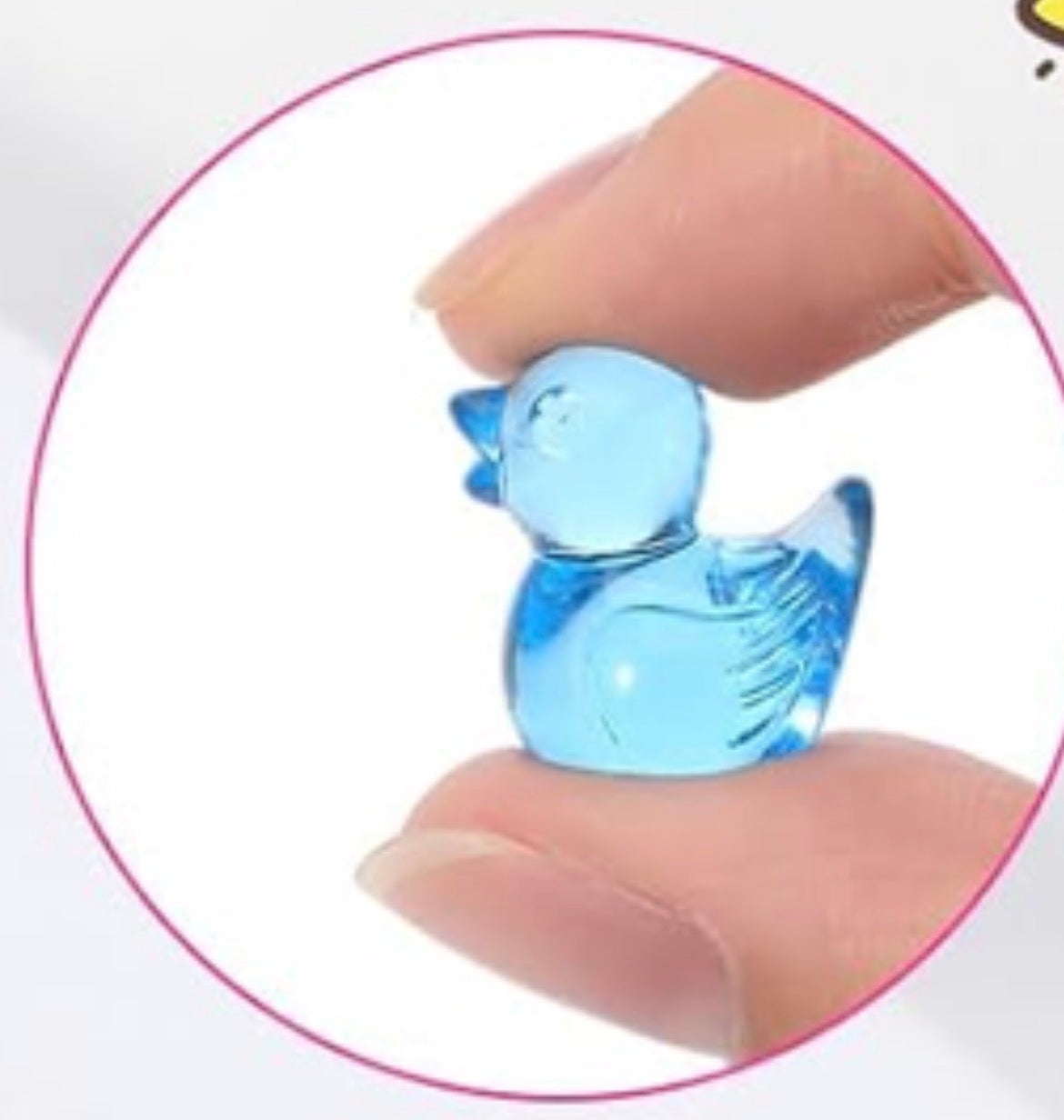 Set of 10, Jewel Themed Mini Resin Ducks, Magnetic or Non-Magnetic, Optional Personalized Duck Hiding Tags