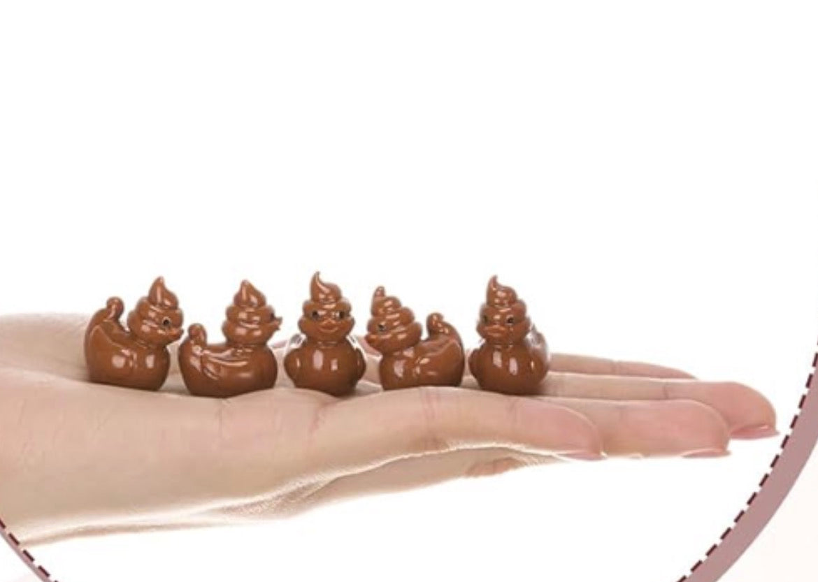 Set of 5, Poo Emoji Themed Mini Resin Ducks, Magnetic or Non-Magnetic, Optional Personalized Duck Hiding Tags