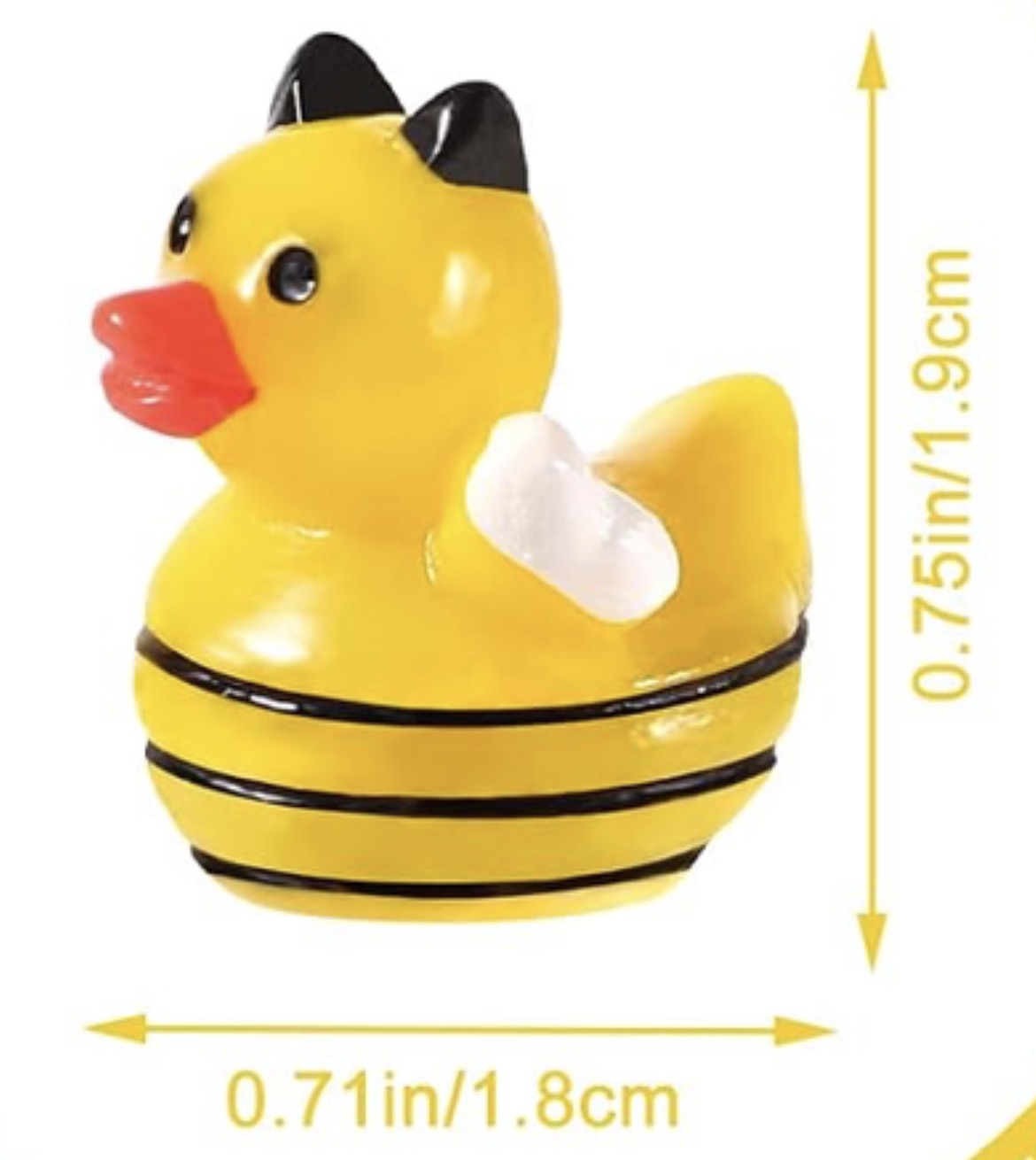 Set of 5, Honey Bee Themed Mini Resin Ducks, Magnetic or Non-Magnetic, Optional Personalized Duck Hiding Tags
