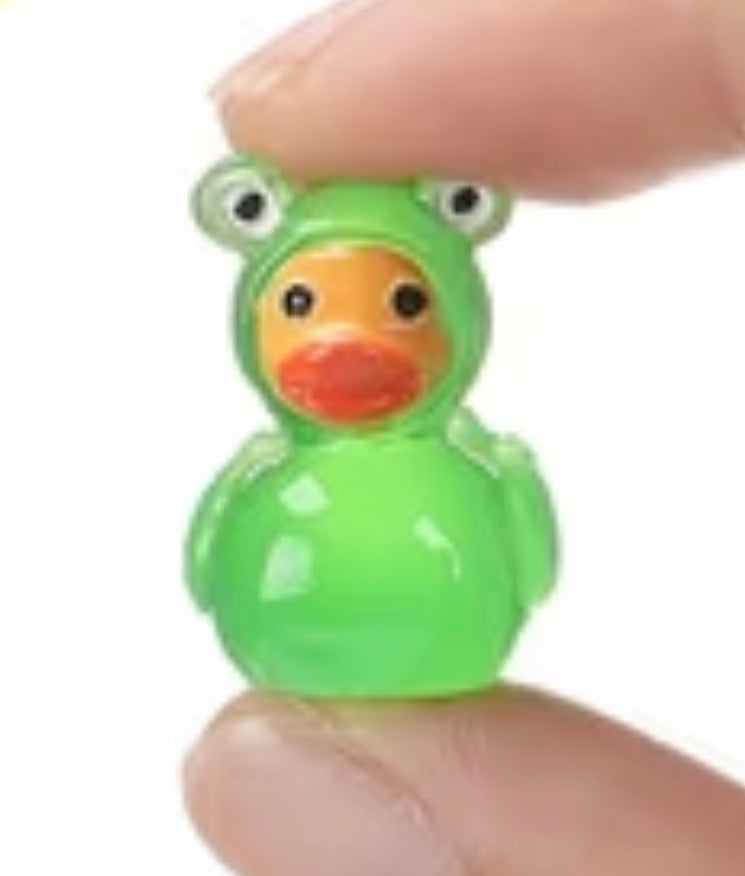 Set of 5, Glow-in-the-Dark Summer Animals Themed Mini Resin Ducks, Magnetic or Non-Magnetic, Optional Personalized Duck Hiding Tags