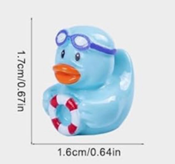 Set of 6, Ocean and Sea Themed Mini Resin Ducks, Magnetic or Non-Magnetic, Optional Personalized Duck Hiding Tags