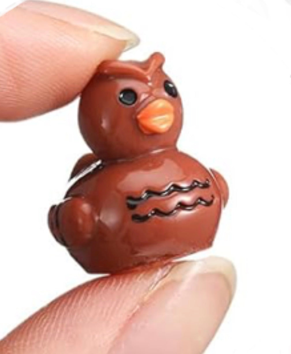 Set of 5, Owl Themed Mini Resin Ducks, Magnetic or Non-Magnetic, Optional Personalized Duck Hiding Tags