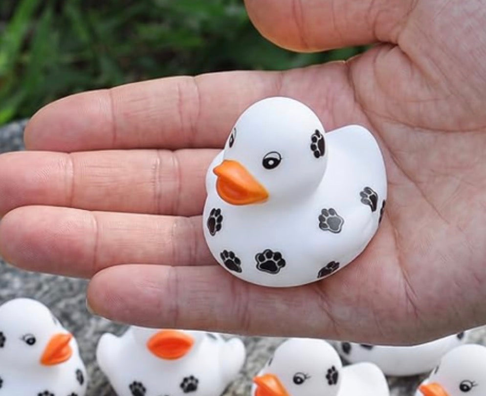 PAW PRINT Rubber Duck Gift Set of 5 | 2 Inch Ducks with Organza Bags & Ducked Cards | Ready to Gift & Hide | Duck Exchange Favors