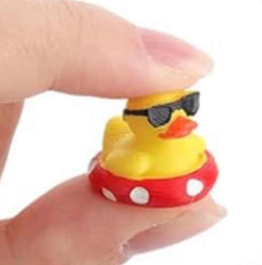 Set of 5, Ducky in a Floaty Themed Mini 3D Printed Ducks, Magnetic or Non-Magnetic, Optional Personalized Duck Hiding Tags