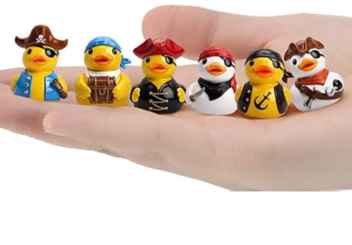 Set of 6, Colorful Pirate Themed Mini Resin Ducks, Magnetic or Non-Magnetic, Optional Personalized Duck Hiding Tags