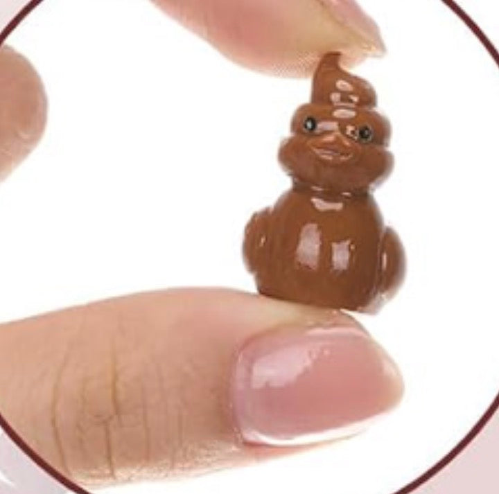 Set of 5, Poo Emoji Themed Mini Resin Ducks, Magnetic or Non-Magnetic, Optional Personalized Duck Hiding Tags