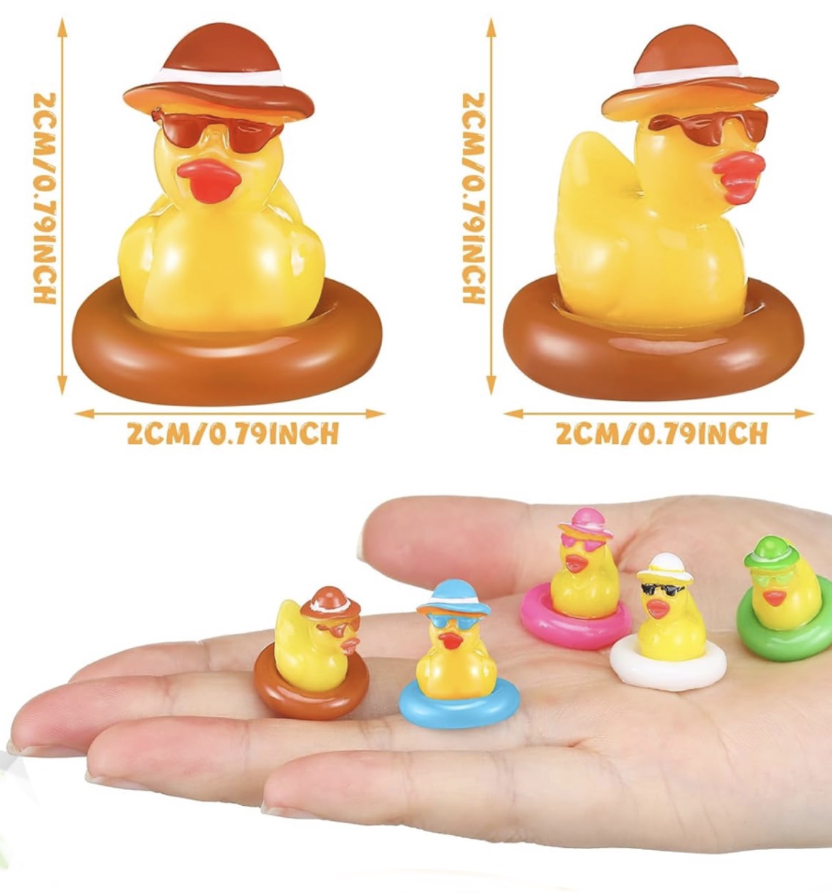 A0-Set of 10, Pool Time Floats Themed Mini Resin Ducks, Magnetic or Non-Magnetic, Optional Personalized Duck Hiding Tags