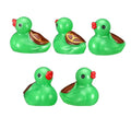 Set of 5, Turtle Themed Mini Resin Ducks, Magnetic or Non-Magnetic, Optional Personalized Duck Hiding Tags