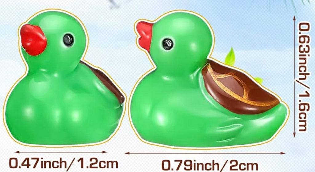 Set of 5, Turtle Themed Mini Resin Ducks, Magnetic or Non-Magnetic, Optional Personalized Duck Hiding Tags