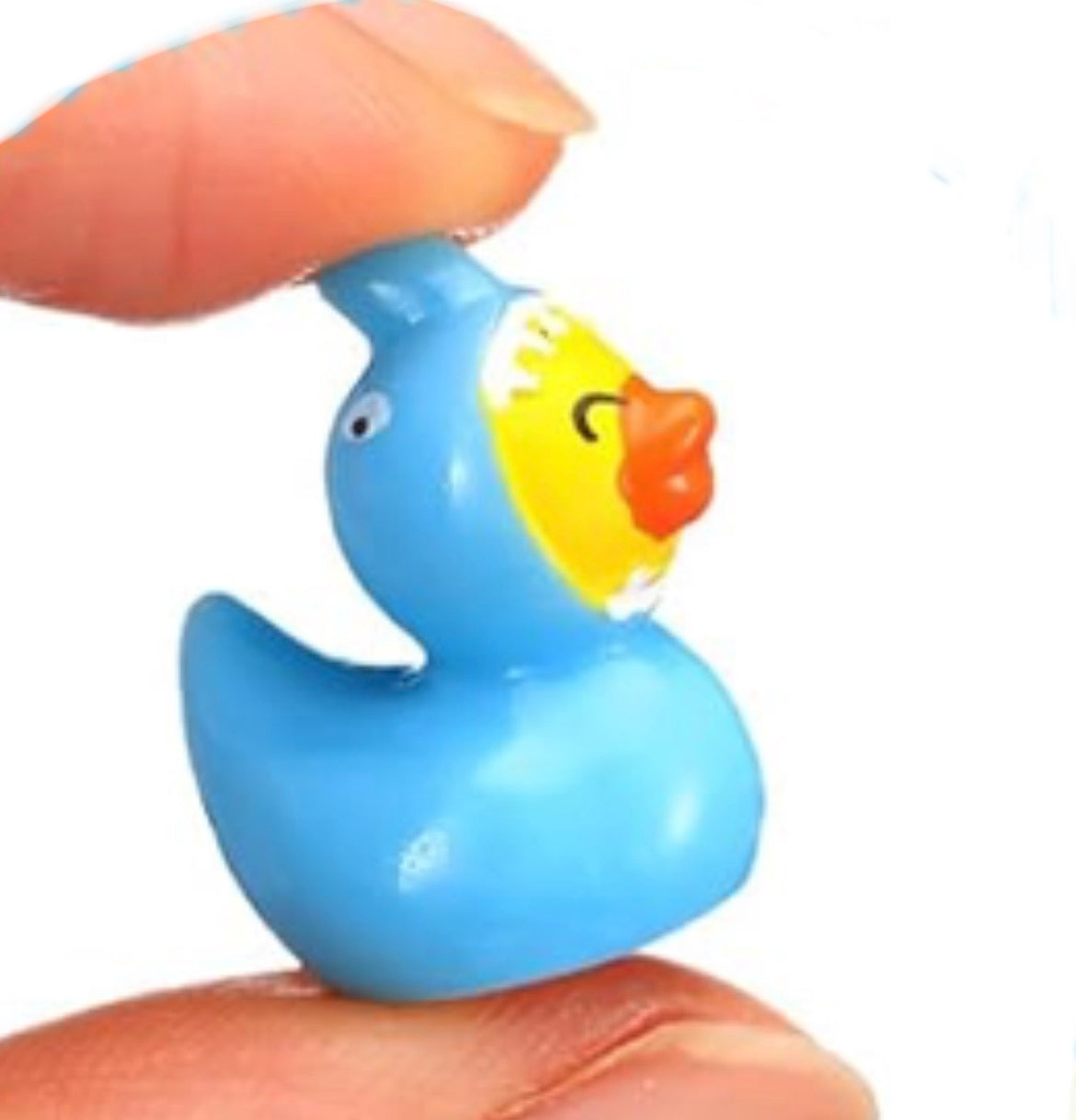 Set of 5, Light Blue Shark Costume Themed Mini Resin Ducks, Magnetic or Non-Magnetic, Optional Personalized Duck Hiding Tags