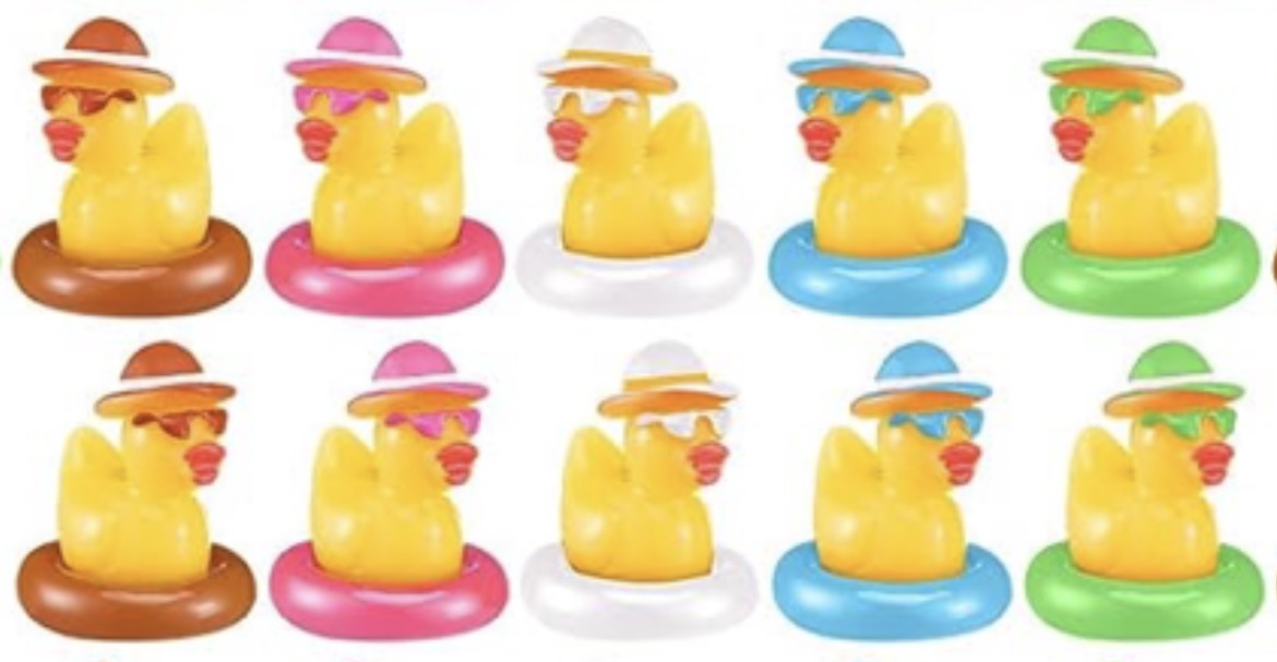 A0-Set of 10, Pool Time Floats Themed Mini Resin Ducks, Magnetic or Non-Magnetic, Optional Personalized Duck Hiding Tags