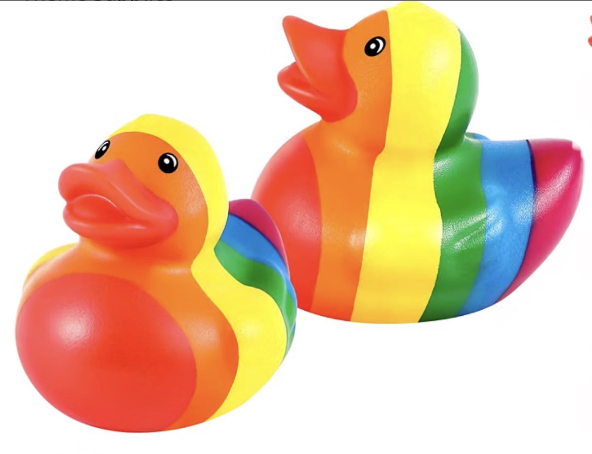 RAINBOW Rubber Duck Gift Set of 6 | 2 Inch Ducks with Organza Bags & Ducked Cards | Ready to Gift & Hide | Duck Exchange Favors