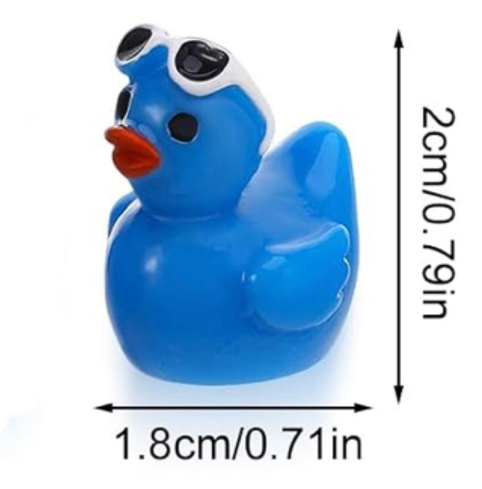 Set of 5, Vacation White/Blue Themed Mini Resin Ducks, Magnetic or Non-Magnetic, Optional Personalized Duck Hiding Tags
