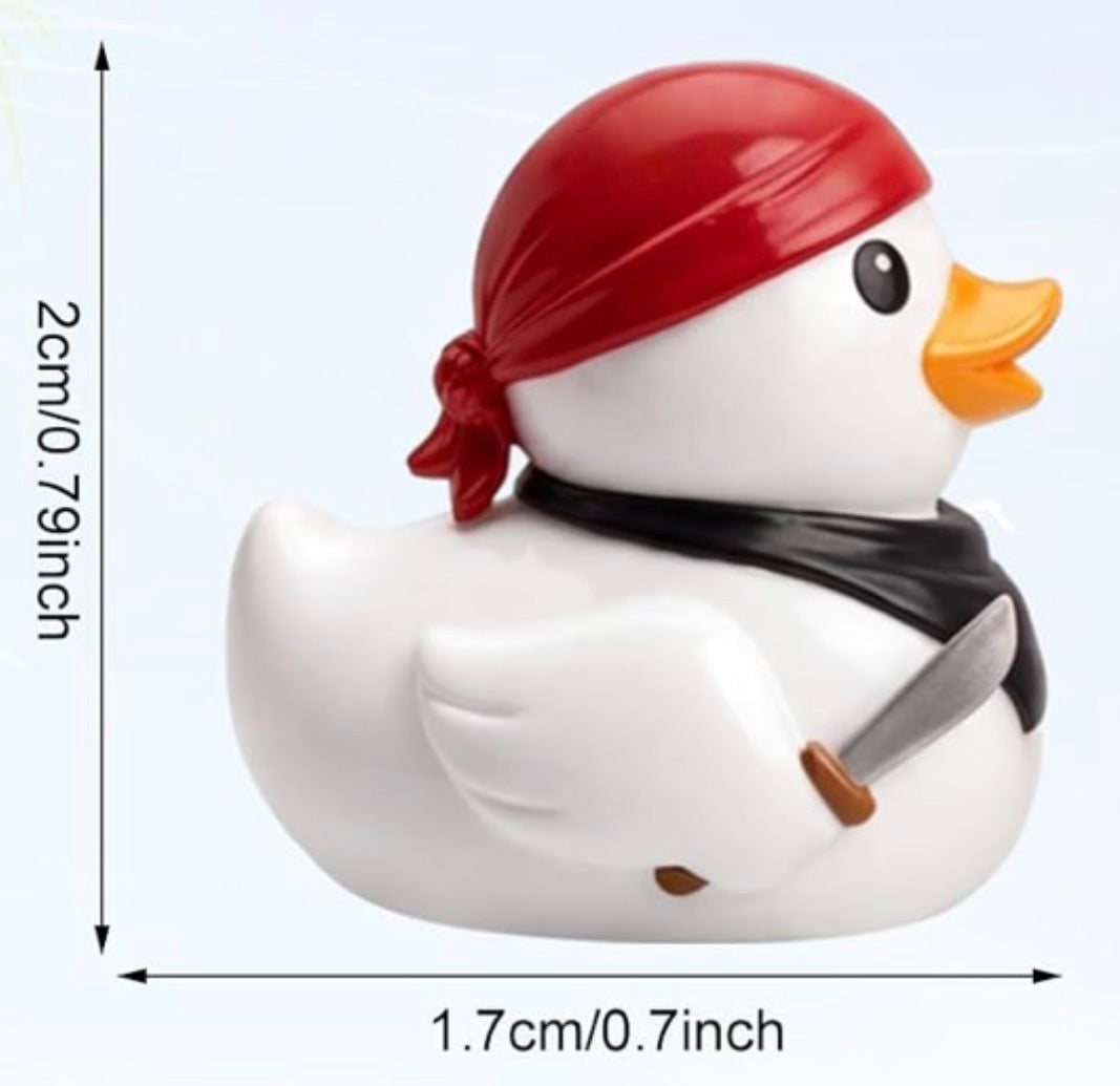 Set of 6, Colorful Pirate Themed Mini Resin Ducks, Magnetic or Non-Magnetic, Optional Personalized Duck Hiding Tags