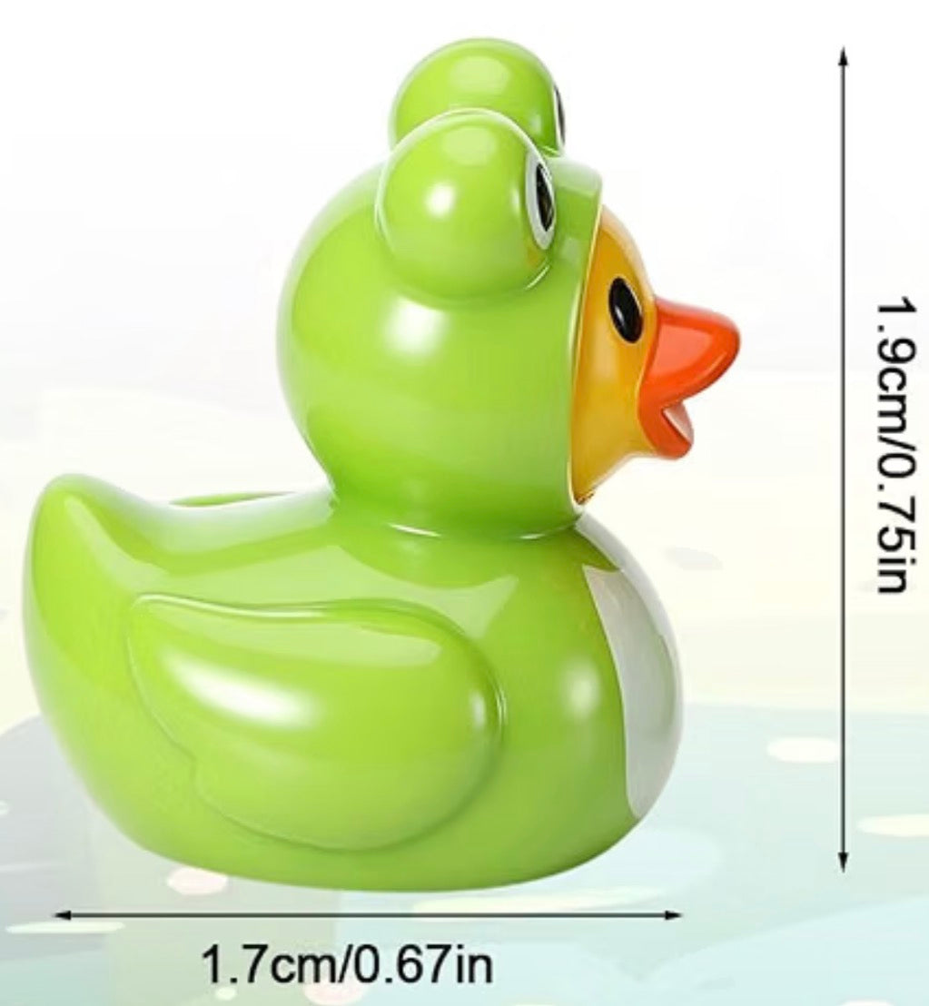 Set of 5, Frog Costume Themed Mini Resin Ducks, Magnetic or Non-Magnetic, Optional Personalized Duck Hiding Tags