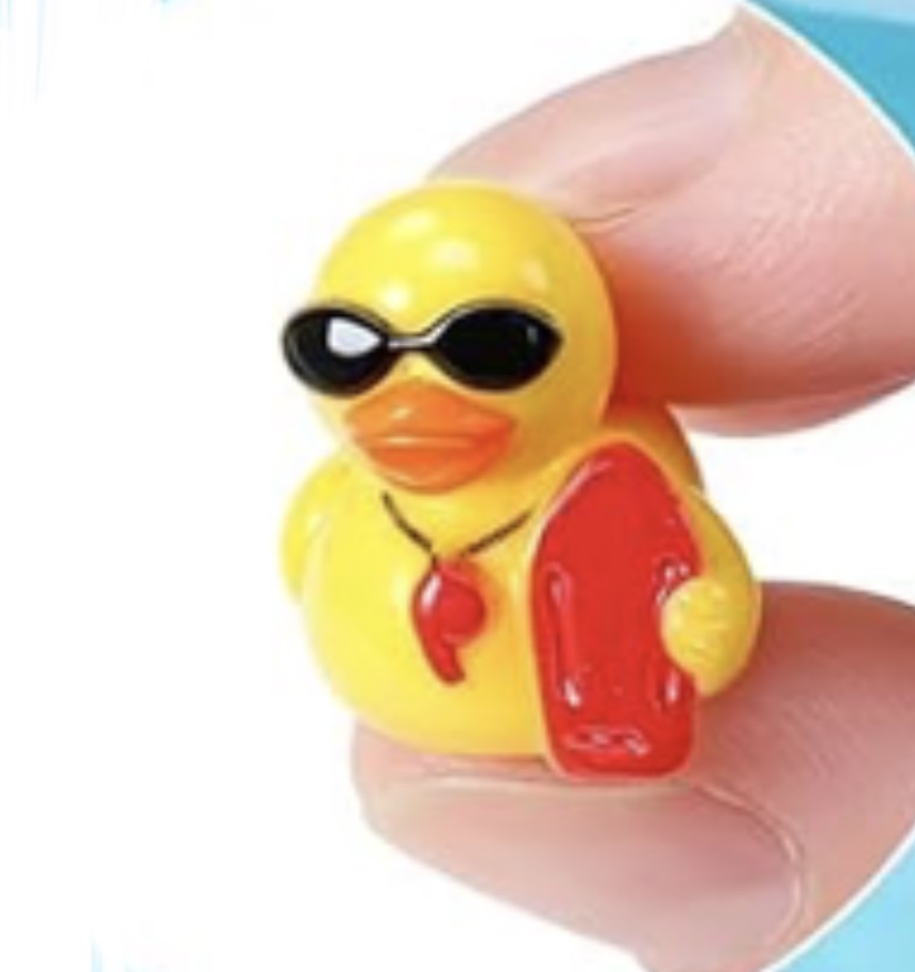 Set of 8, Lifeguard Themed Mini Resin Ducks, Magnetic or Non-Magnetic, Optional Personalized Duck Hiding Tags