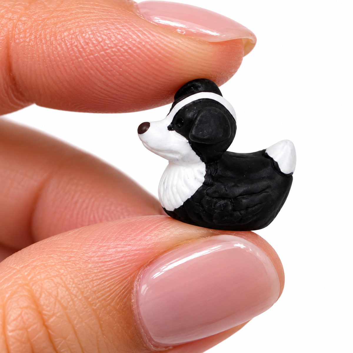 A0-Set of 5, Border Collie Dog Themed Mini Resin Ducks, Magnetic or Non-Magnetic, Optional Personalized Duck Hiding Tags