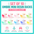 Mini Resin Ducks – Set of 10 Ombré Mini Resin Duck Figurines, Tiny Pastel Ducks for Cruise Ducking, Fairy Gardens, Party Favors, DIY Crafts, Dollhouses & Collecting