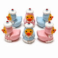 Set of 6, Pink and Blue Cupcake Themed Mini Resin Ducks, Magnetic or Non-Magnetic, Optional Personalized Duck Hiding Tags