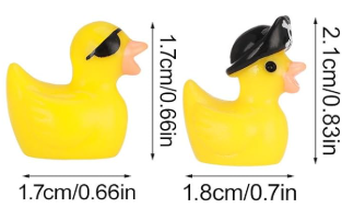 Set of 8, Pirate Themed Mini Resin Ducks, Magnetic or Non-Magnetic, Optional Personalized Duck Hiding Tags
