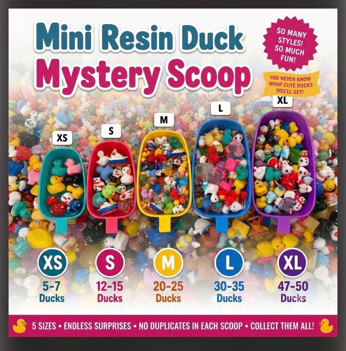 Mini Resin Duck Mystery Scoop – No Duplicates (Magnet Option) XS-XL