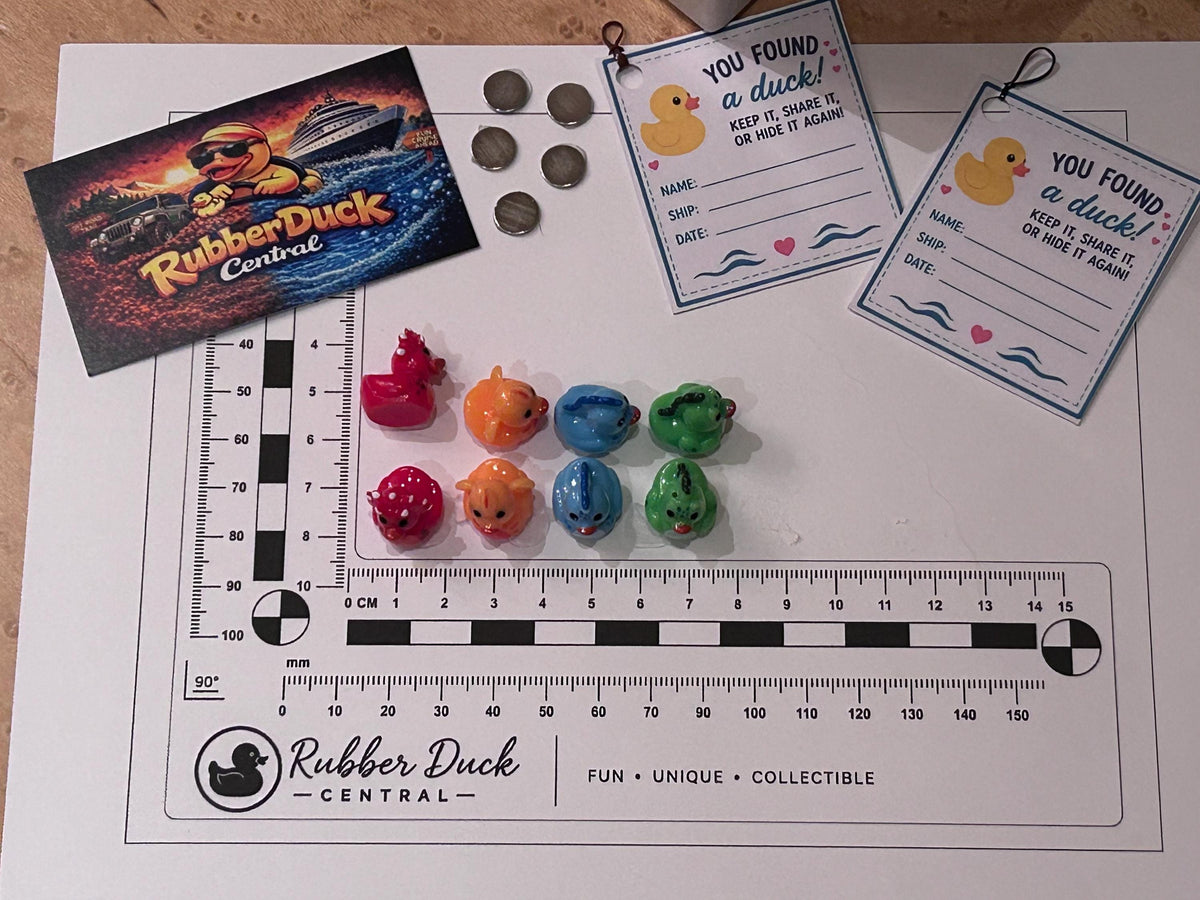 Set of 8, Dinosaur Themed Mini Resin Ducks, Magnetic or Non-Magnetic, Optional Personalized Duck Hiding Tags