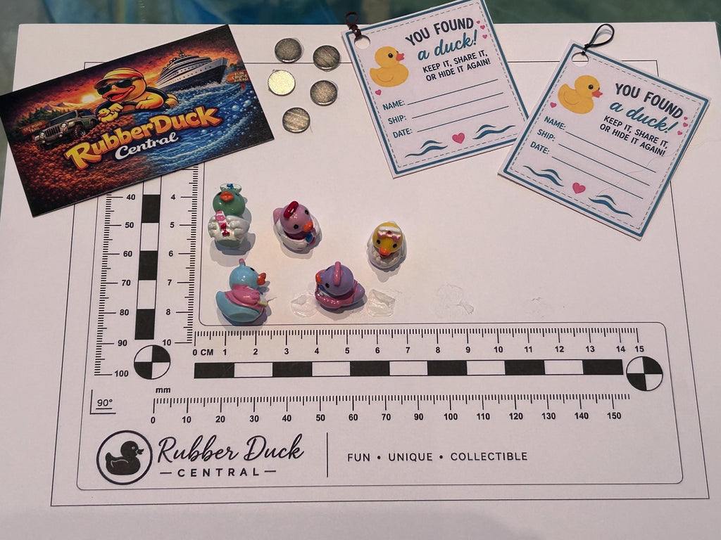 Set of 5, Nurse Themed Mini Resin Ducks, Magnetic or Non-Magnetic, Optional Personalized Duck Hiding Tags