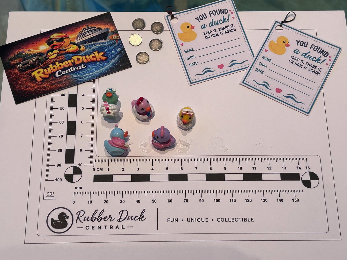 Set of 5, Nurse Themed Mini Resin Ducks, Magnetic or Non-Magnetic, Optional Personalized Duck Hiding Tags